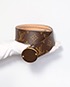 Louis Vuitton Trunks and Bags Belt, back view